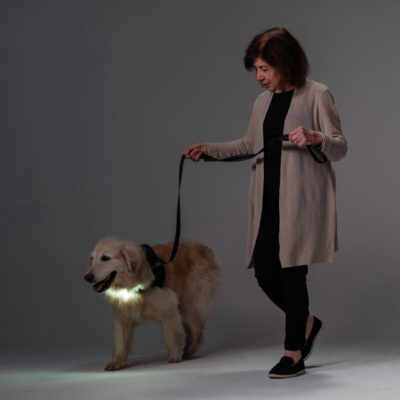 Dog Walking at Night Safety: Essential Tips to Keep You and Your Dog Secure After Dark