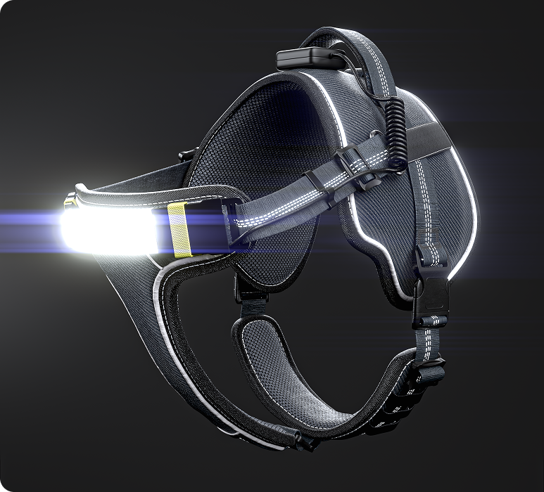 Lumi One - The Only Dog Harness That Lights Your Path at Night!