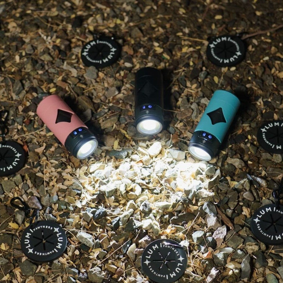 Multiple small lights on a ground surface with Lumi Poop Loops