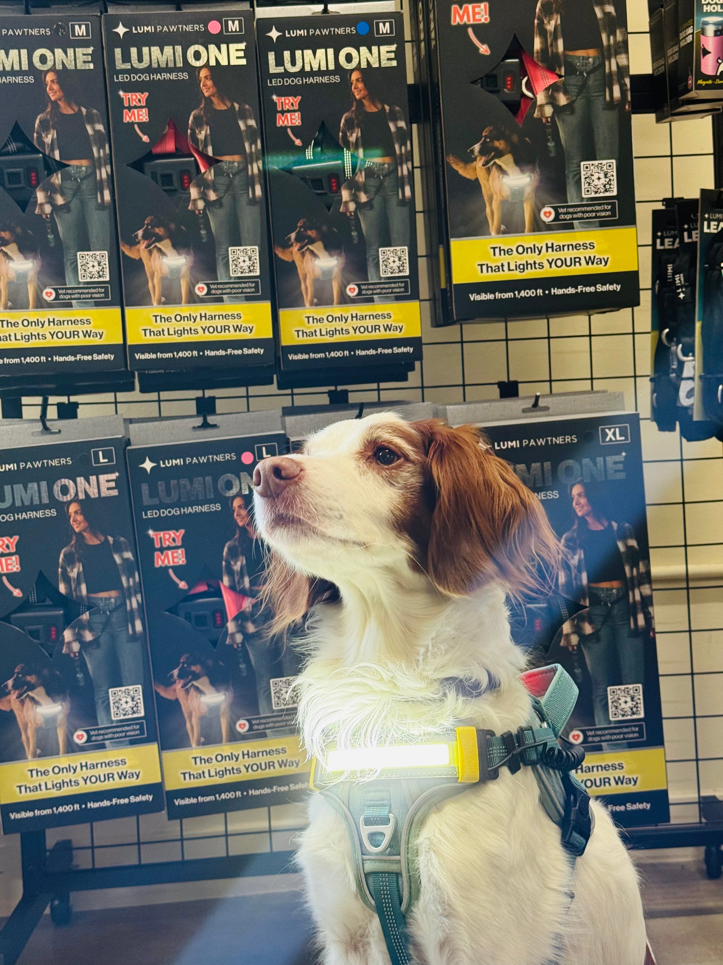 Lumi One - Lighting Your Path at Night!