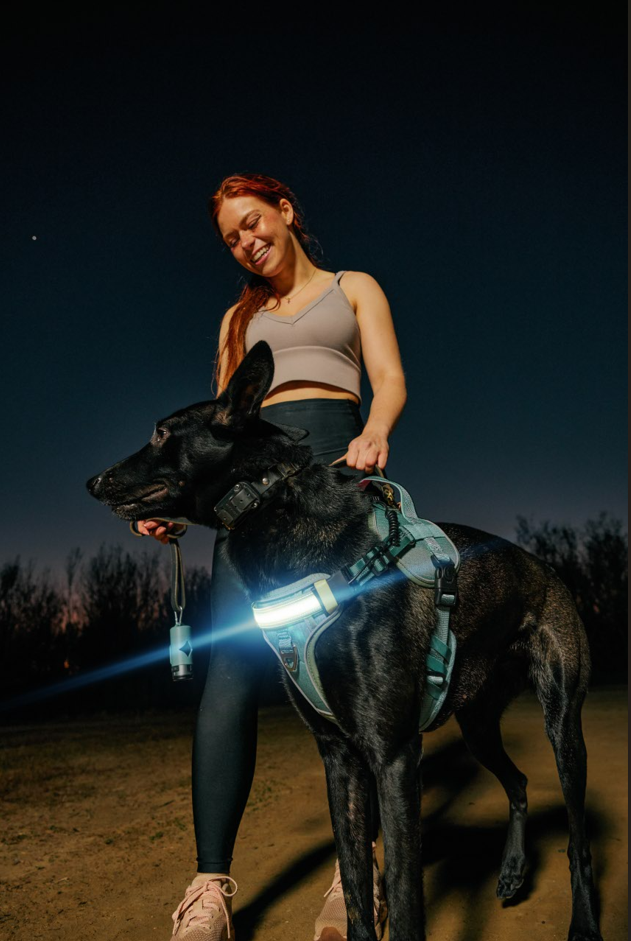 Lumi One - The Only Dog Harness That Lights Your Path at Night!