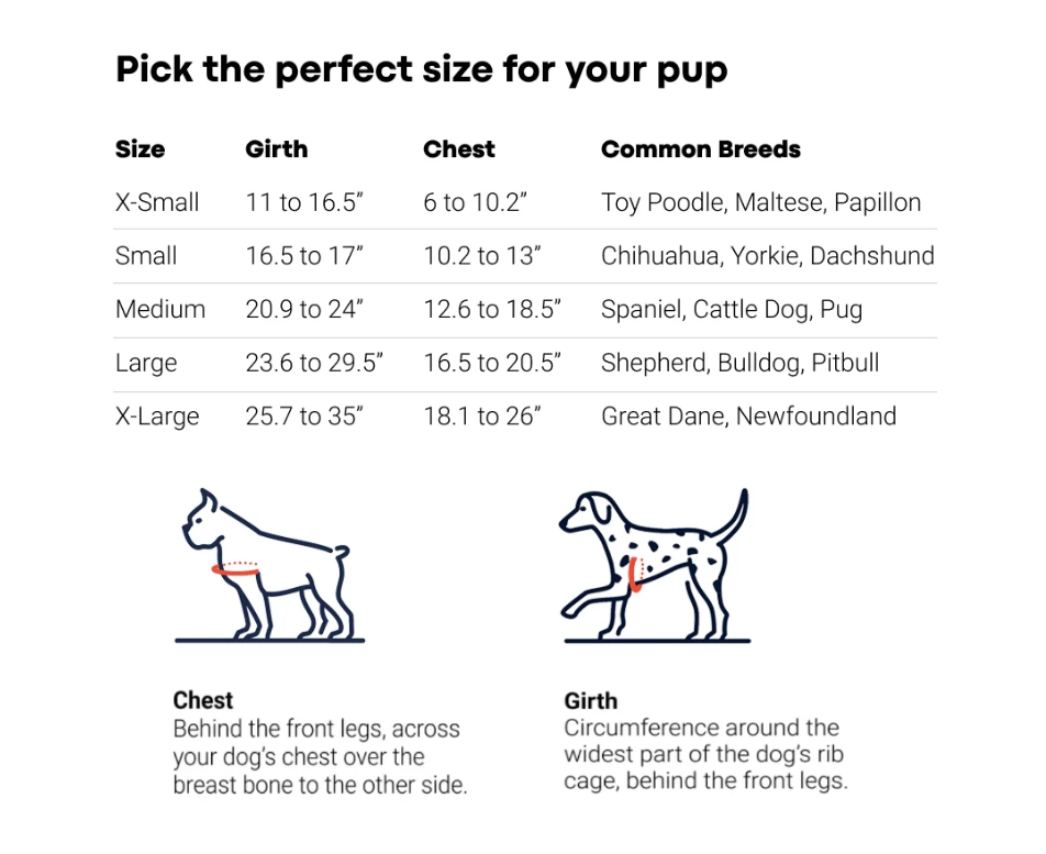 Lumi One - Lighting Your Path at Night!