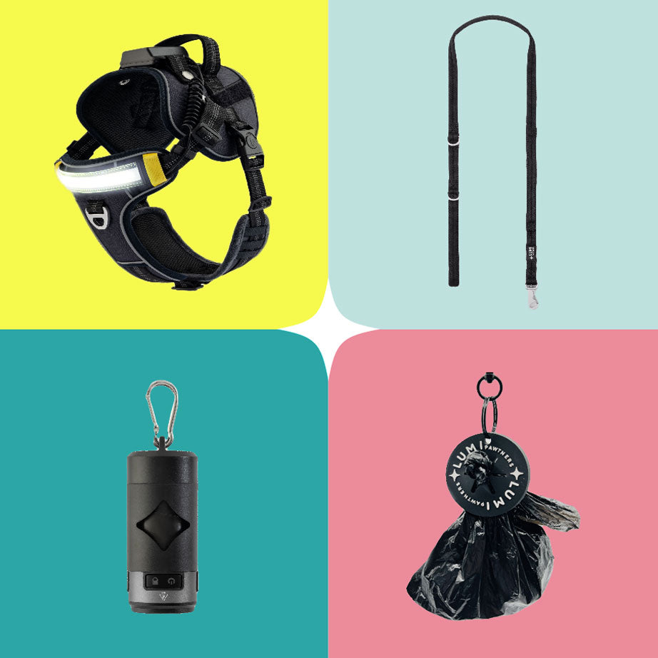 Lumi All-In-One Kit on a grid of yellow, blue, pink, and green backgrounds