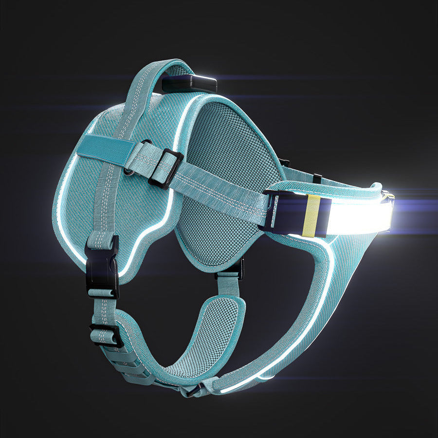 Close-up of a lighted dog harness with USB-C rechargeable battery.