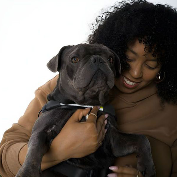 Owner and dog on a nighttime walk, using Lumi's glowing harness for visibility.