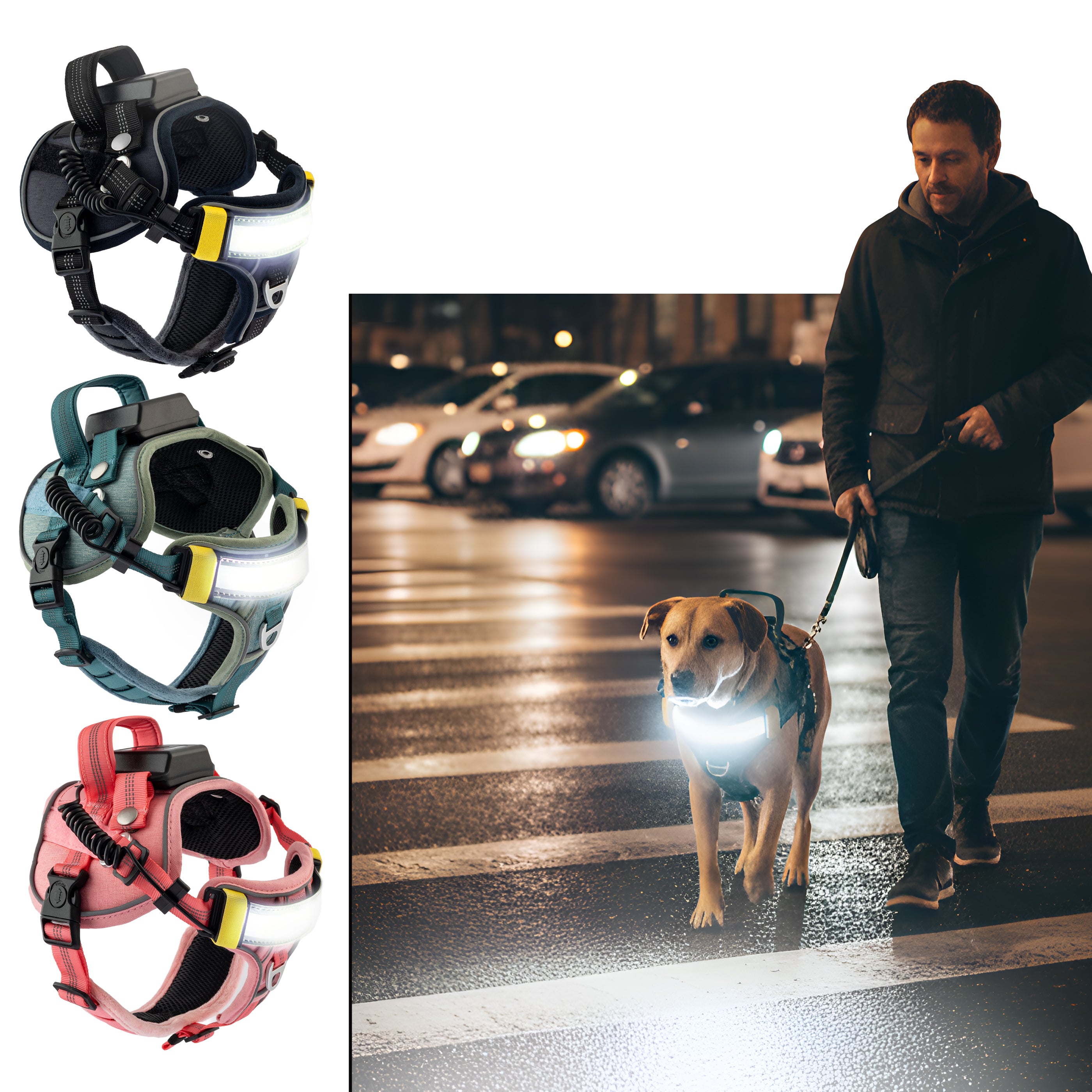 Dog harnesses with LED lights on a white background, with a man walking a dog on a street at night.