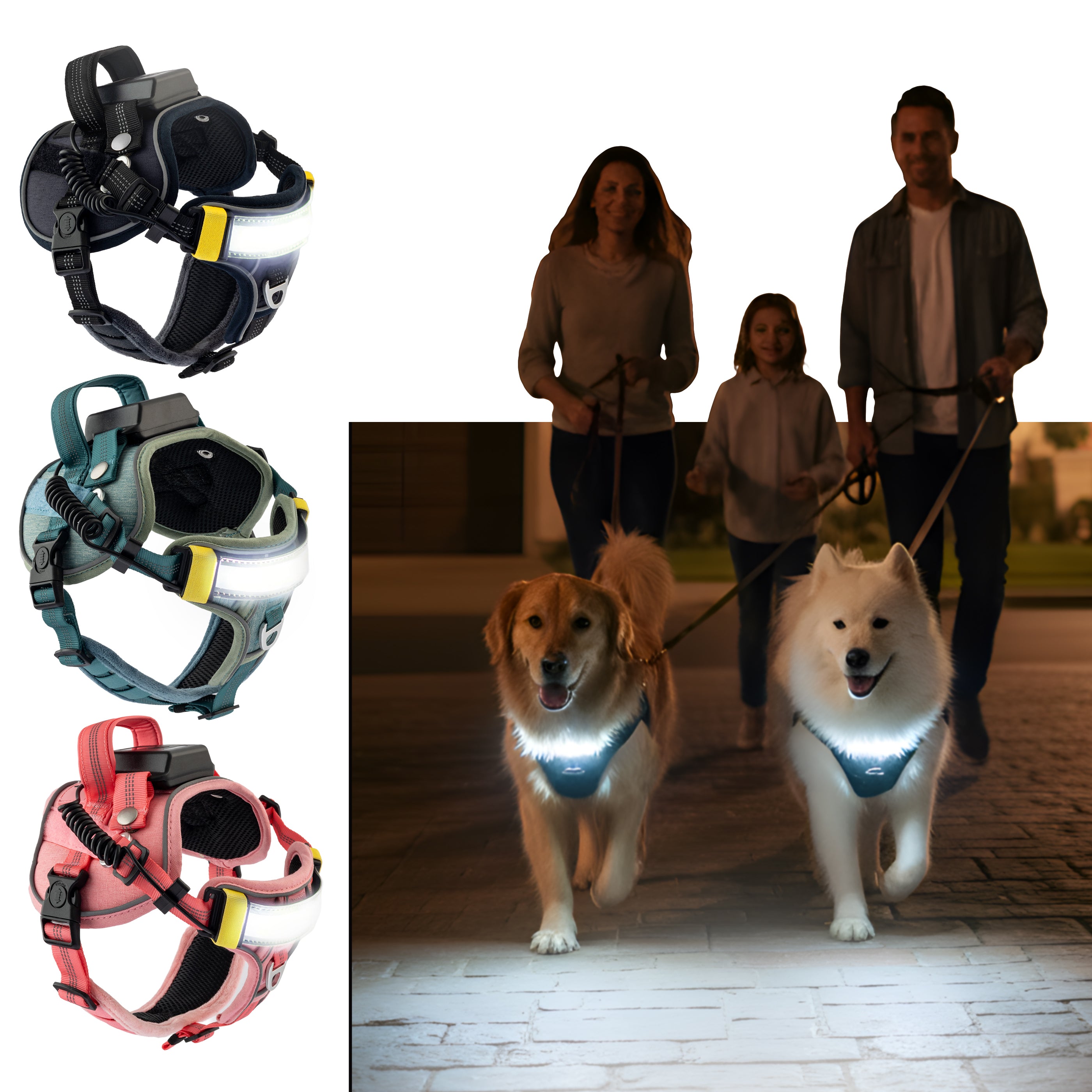Lumi One - The Only Dog Harness That Lights Your Path at Night!