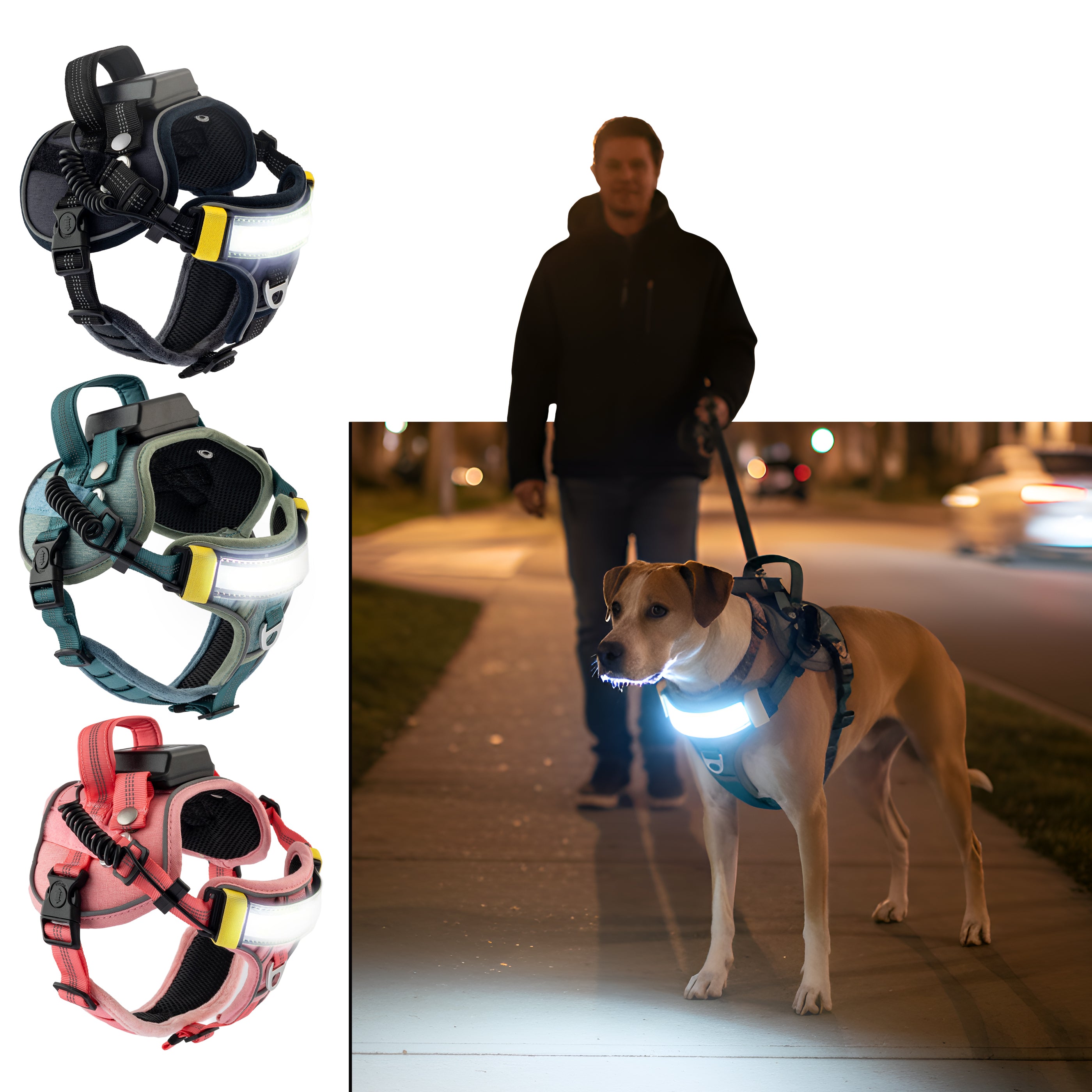 Lumi One - The Only Dog Harness That Lights Your Path at Night!