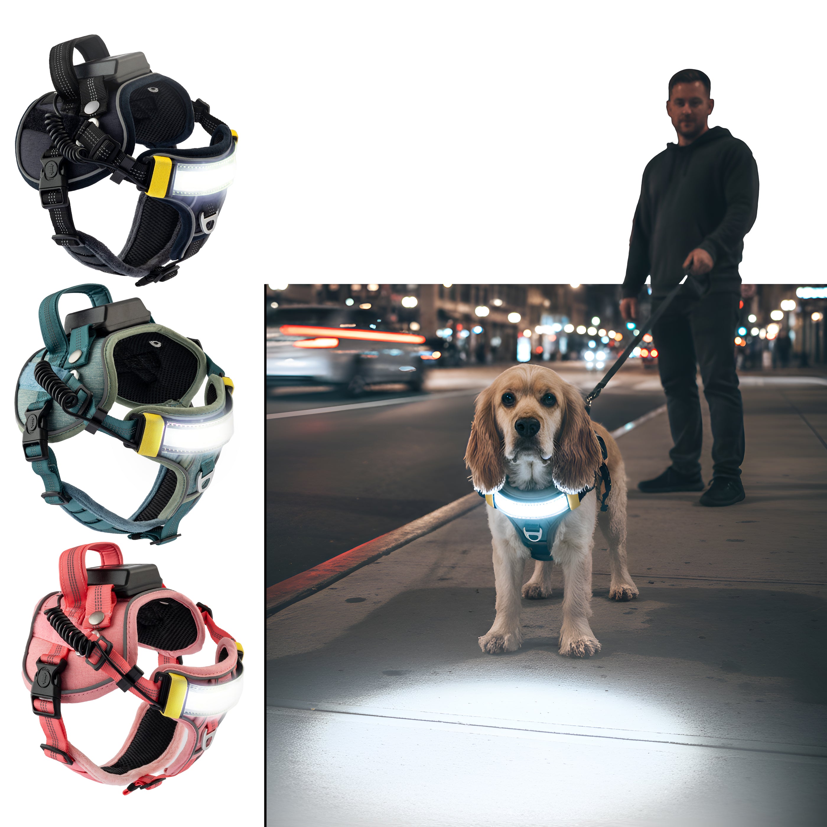 Lumi One - The Only Dog Harness That Lights Your Path at Night!