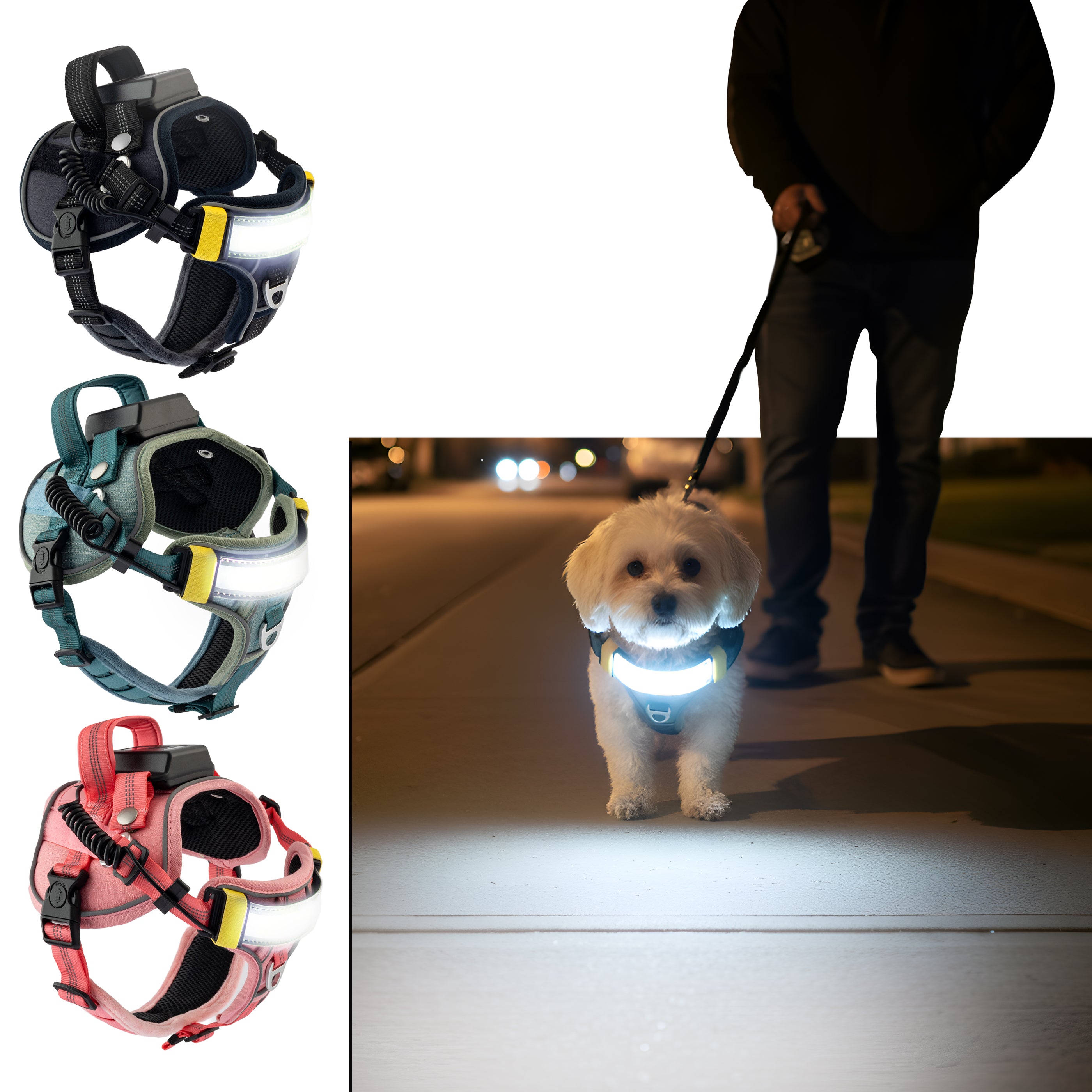 Lumi One - The Only Dog Harness That Lights Your Path at Night!