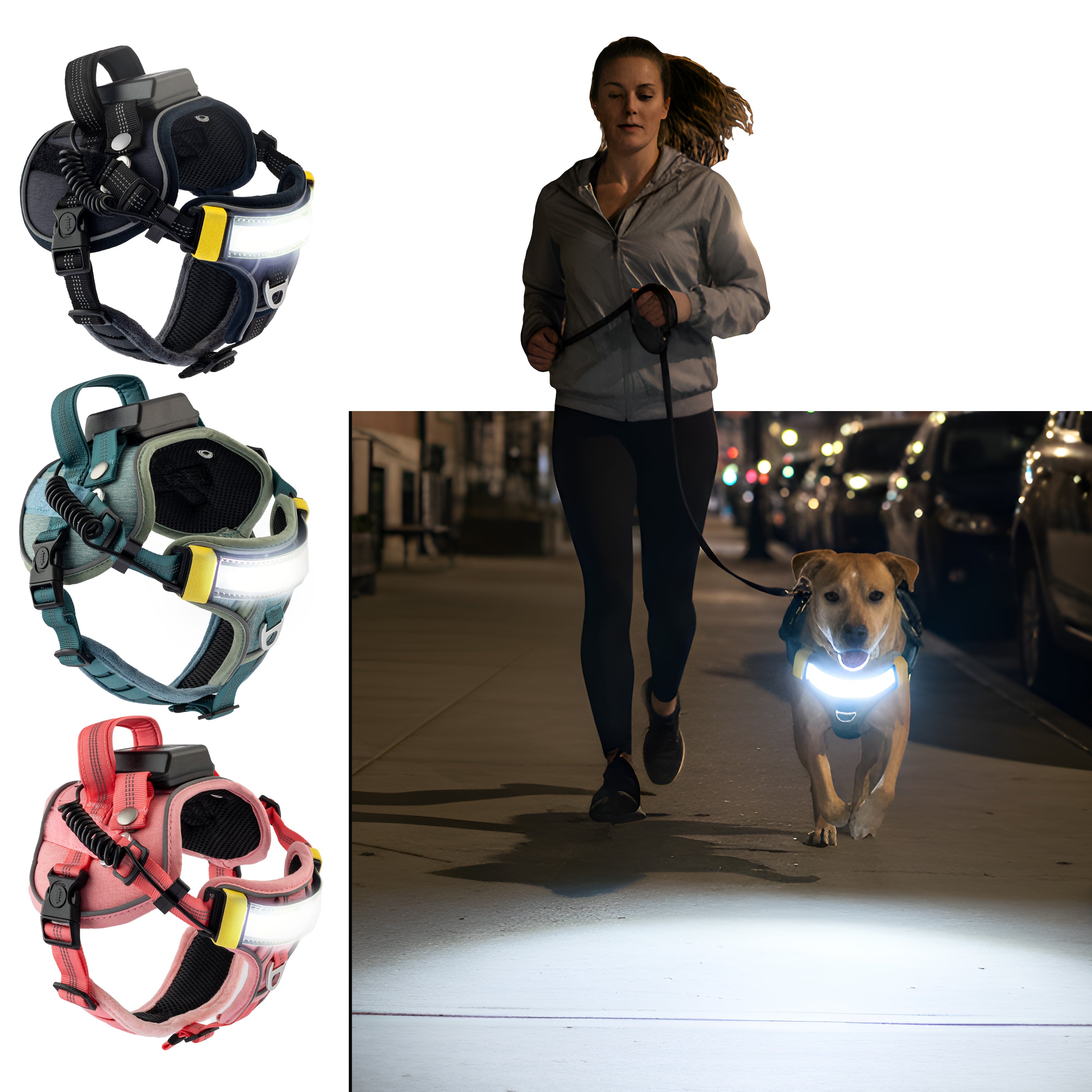 Lumi One - The Only Dog Harness That Lights Your Path at Night!