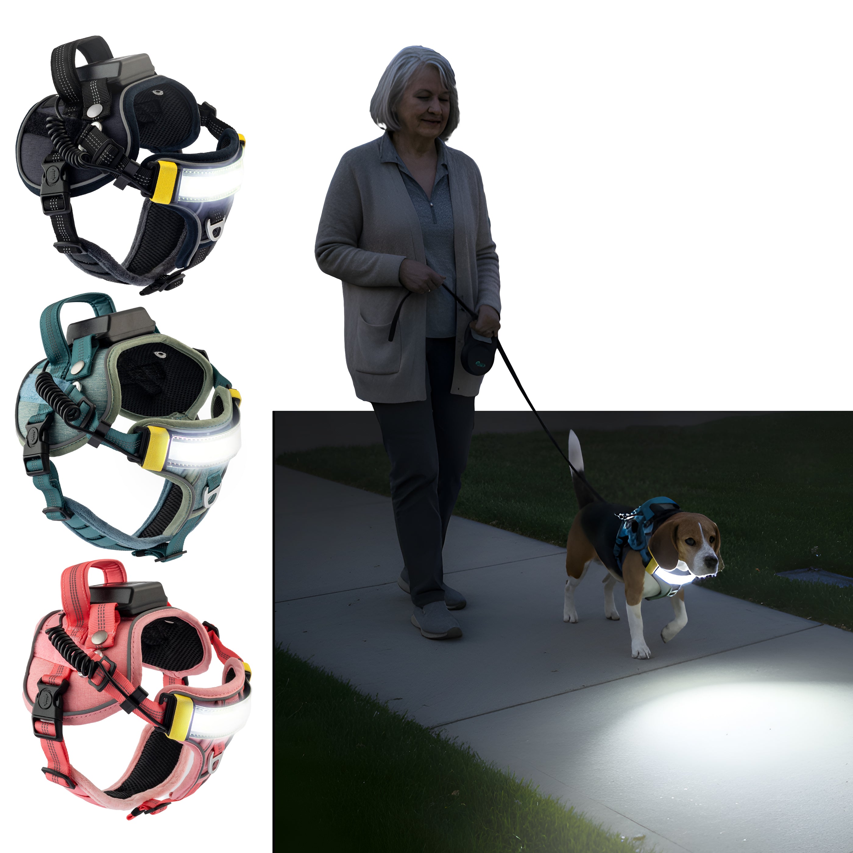 Lumi One - The Only Dog Harness That Lights Your Path at Night!