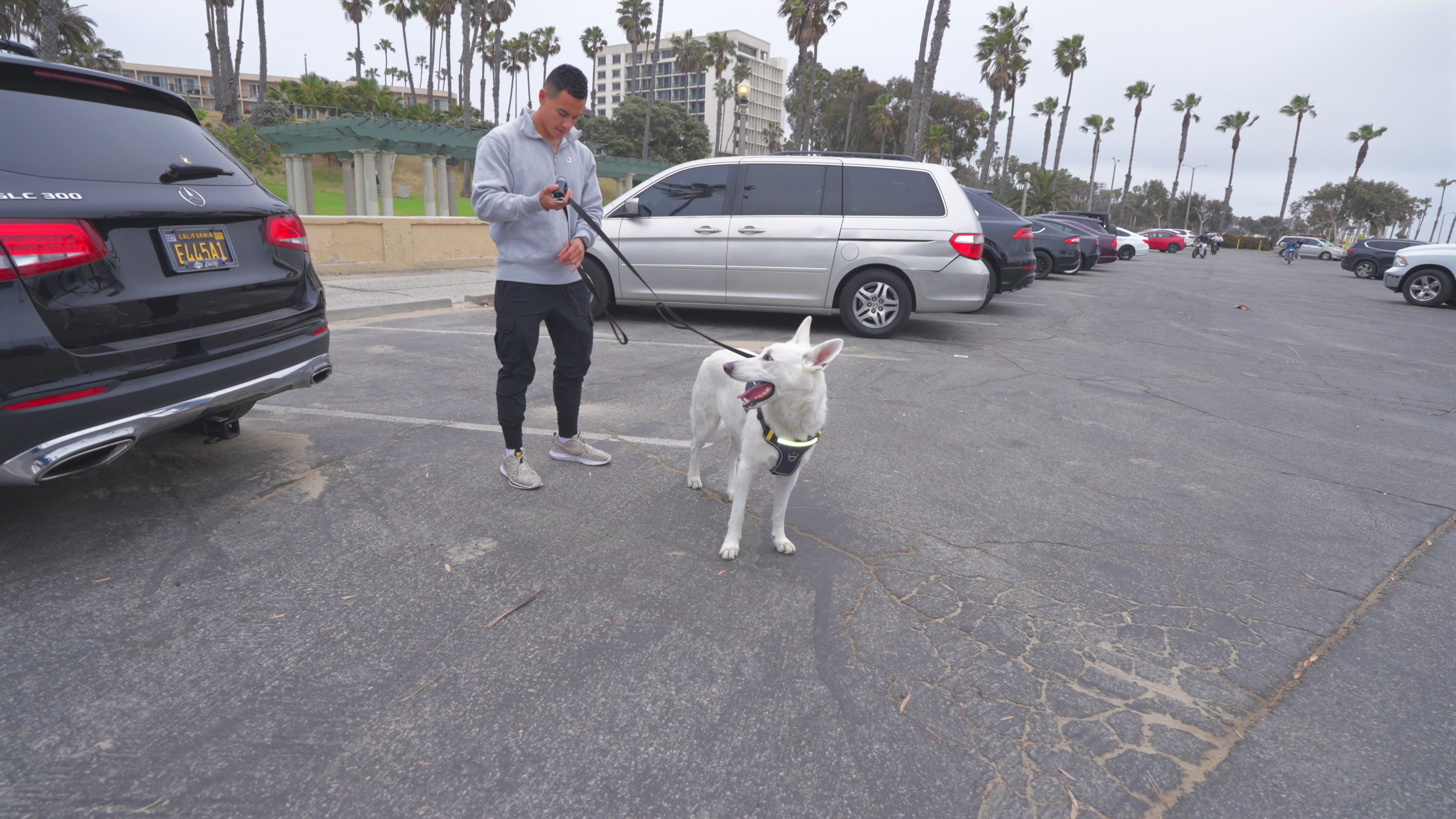 LED Poop Bag Holder & Dispenser